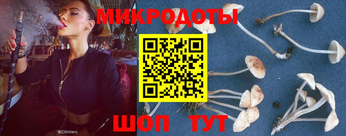 Галлюциногенные грибы мицелий Гулькевичи