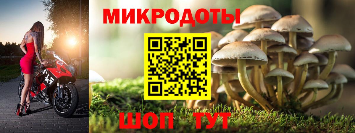 Галлюциногенные грибы прущие грибы  Вход с VPN  Гулькевичи  Псилоцибиновые грибы мицелий 